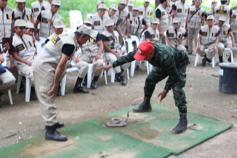 ภาพกิจกรรม